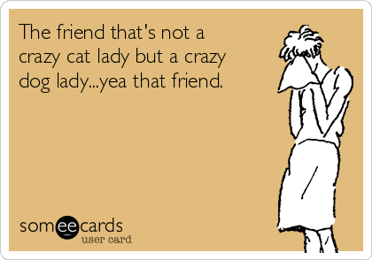 The friend that's not a
crazy cat lady but a crazy
dog lady...yea that friend. 