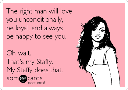 The right man will love
you unconditionally,
be loyal, and always
be happy to see you.

Oh wait.
That's my Staffy.
My Staffy does that.