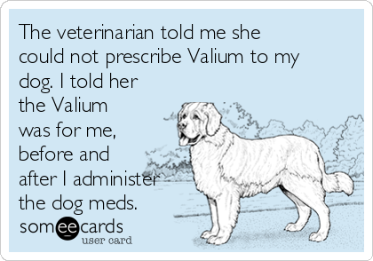 The veterinarian told me she
could not prescribe Valium to my
dog. I told her
the Valium
was for me,
before and
after I administer
the dog meds.