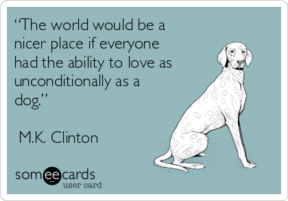 “The world would be a
nicer place if everyone
had the ability to love as
unconditionally as a
dog.”

―M.K. Clinton
