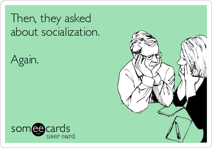 Then, they asked
about socialization.

Again.