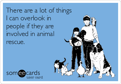 There are a lot of things
I can overlook in
people if they are
involved in animal
rescue.