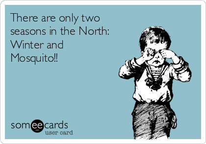 There are only two
seasons in the North:
Winter and
Mosquito!!