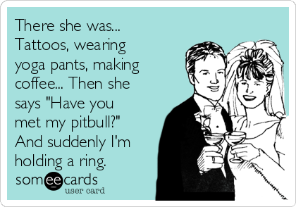 There she was...
Tattoos, wearing
yoga pants, making
coffee... Then she
says "Have you
met my pitbull?"
And suddenly I'm
holding a ring. 