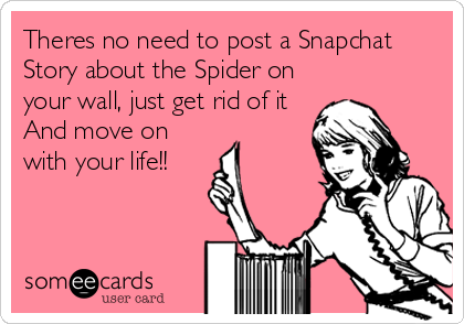 Theres no need to post a Snapchat
Story about the Spider on
your wall, just get rid of it
And move on
with your life!!