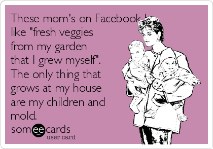 These mom's on Facebook be
like "fresh veggies
from my garden
that I grew myself". 
The only thing that
grows at my house
are my children and
mold. 