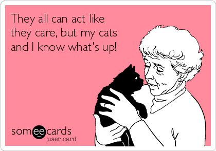 They all can act like
they care, but my cats
and I know what's up! 