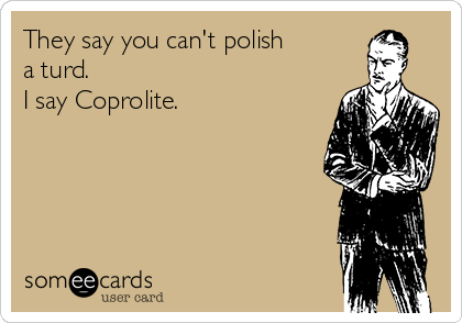 They say you can't polish
a turd.
I say Coprolite.
