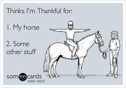 Thinks I'm Thankful for:

1. My horse

2. Some
other stuff

