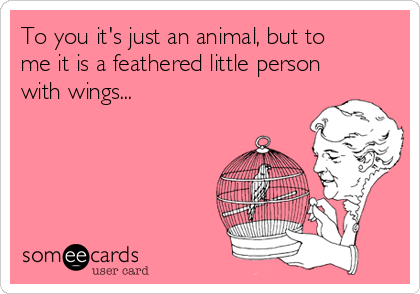 To you it's just an animal, but to
me it is a feathered little person
with wings...