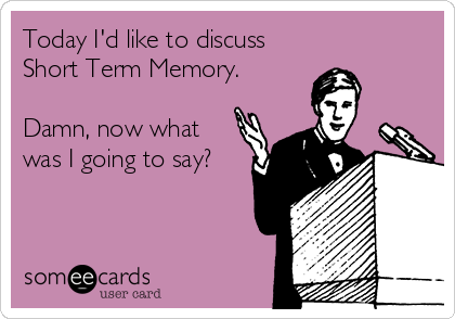 Today I'd like to discuss
Short Term Memory.

Damn, now what
was I going to say?