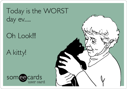 Today is the WORST
day ev.....

Oh Look!!! 

A kitty!