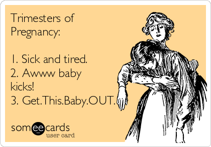 Trimesters of
Pregnancy:

1. Sick and tired.
2. Awww baby
kicks!
3. Get.This.Baby.OUT.