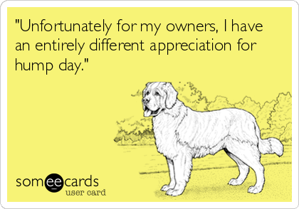 "Unfortunately for my owners, I have
an entirely different appreciation for
hump day."