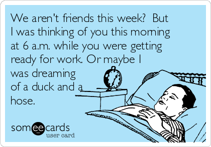 We aren't friends this week?  But
I was thinking of you this morning
at 6 a.m. while you were getting
ready for work. Or maybe I
was dreaming
of a duck and a
hose.