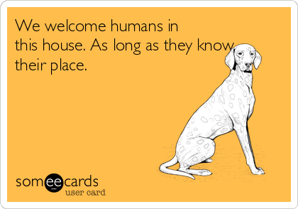 We welcome humans in
this house. As long as they know
their place.