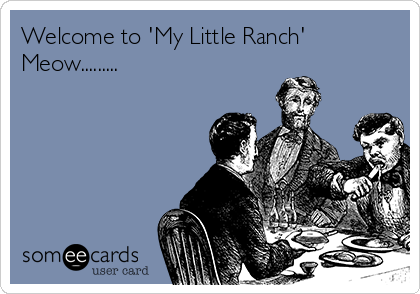 Welcome to 'My Little Ranch' 
Meow.........