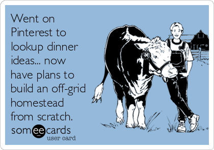 Went on
Pinterest to
lookup dinner
ideas... now
have plans to
build an off-grid
homestead
from scratch.