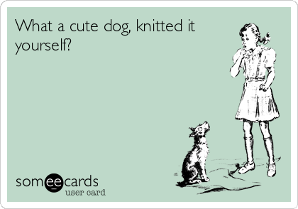 What a cute dog, knitted it
yourself?