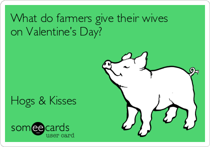 What do farmers give their wives
on Valentine’s Day?




Hogs & Kisses 