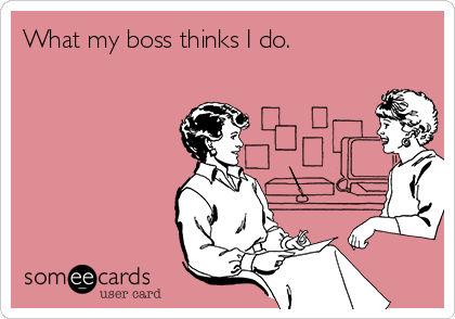 What my boss thinks I do.