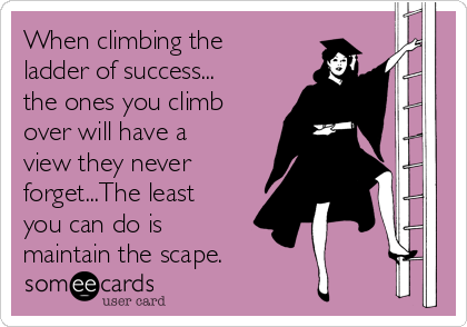 When climbing the
ladder of success...
the ones you climb
over will have a
view they never
forget...The least
you can do is
maintain the scape.