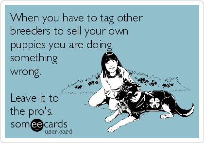 When you have to tag other
breeders to sell your own
puppies you are doing
something
wrong. 

Leave it to
the pro's.