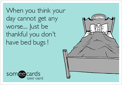 When you think your
day cannot get any
worse.... Just be
thankful you don't
have bed bugs !  