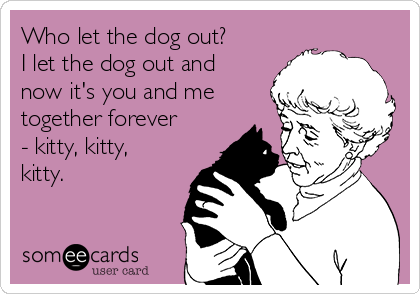 Who let the dog out?
I let the dog out and
now it's you and me
together forever
- kitty, kitty,
kitty.