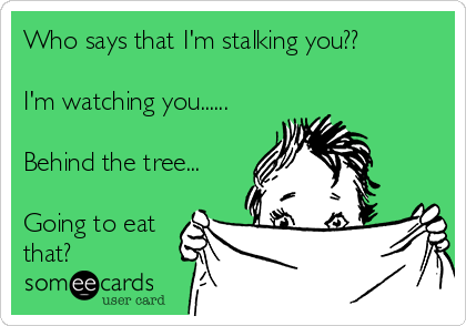 Who says that I'm stalking you??

I'm watching you......

Behind the tree...

Going to eat
that?