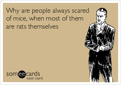 Why are people always scared
of mice, when most of them
are rats themselves