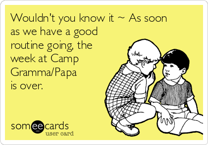 Wouldn't you know it ~ As soon
as we have a good
routine going, the
week at Camp
Gramma/Papa
is over.