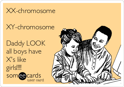 XX-chromosome 

XY-chromosome

Daddy LOOK
all boys have
X's like
girls!!!! 