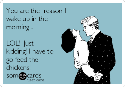 You are the  reason I
wake up in the
morning...

LOL!  Just
kidding! I have to
go feed the
chickens!