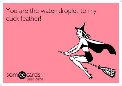 You are the water droplet to my
duck feather!