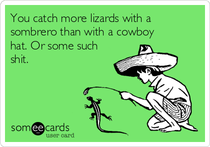 You catch more lizards with a
sombrero than with a cowboy
hat. Or some such
shit.