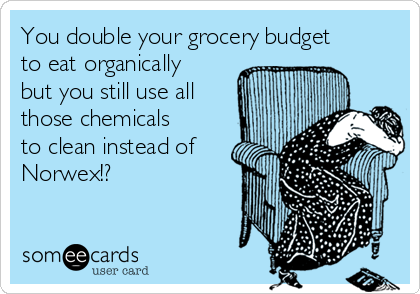 You double your grocery budget
to eat organically
but you still use all
those chemicals
to clean instead of
Norwex!?