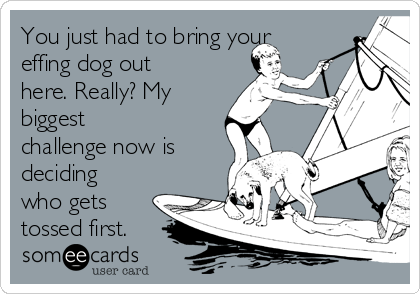 You just had to bring your
effing dog out
here. Really? My
biggest
challenge now is
deciding
who gets
tossed first.