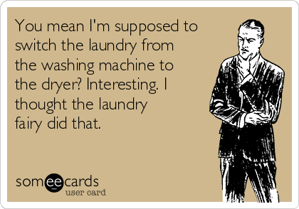 You mean I'm supposed to
switch the laundry from
the washing machine to
the dryer? Interesting. I
thought the laundry
fairy did that.