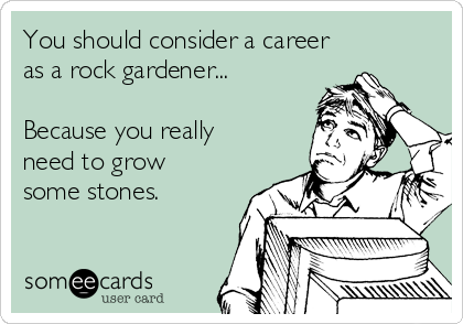 You should consider a career 
as a rock gardener...

Because you really
need to grow
some stones.