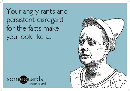 Your angry rants and
persistent disregard
for the facts make
you look like a...