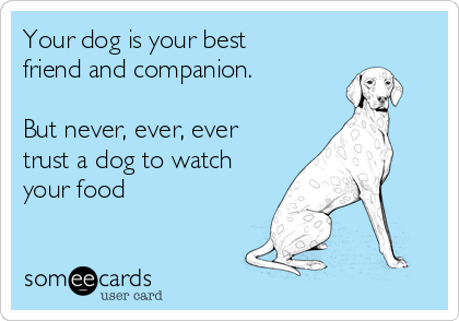 Your dog is your best
friend and companion. 

But never, ever, ever
trust a dog to watch
your food