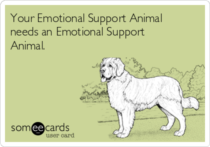 Your Emotional Support Animal
needs an Emotional Support
Animal. 