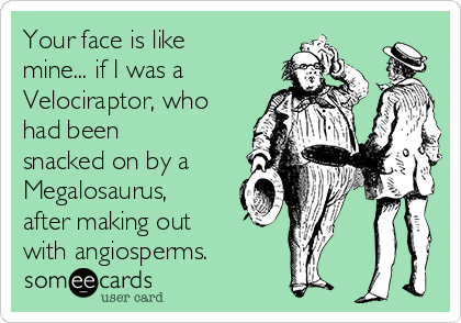 Your face is like
mine... if I was a 
Velociraptor, who
had been
snacked on by a
Megalosaurus,
after making out 
with angiosperms.