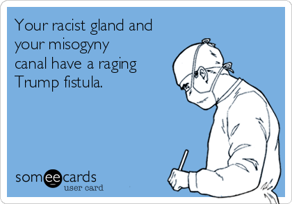 Your racist gland and
your misogyny
canal have a raging
Trump fistula. 