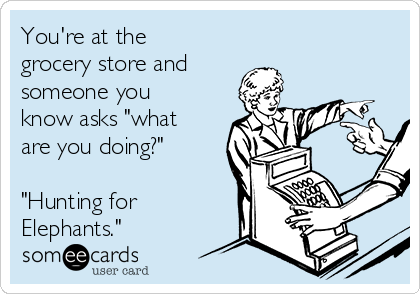 You're at the
grocery store and
someone you
know asks "what
are you doing?" 

"Hunting for
Elephants."