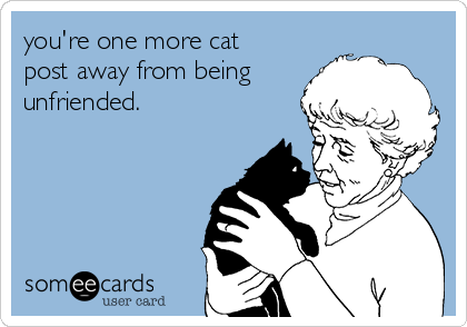 you're one more cat
post away from being
unfriended.