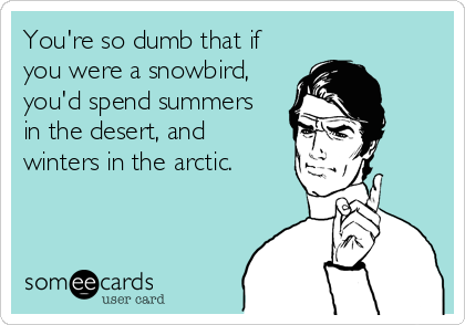 You're so dumb that if
you were a snowbird,
you'd spend summers
in the desert, and 
winters in the arctic. 